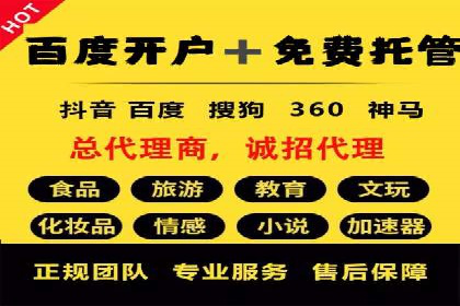 百度广告投放策略与效果评估案例